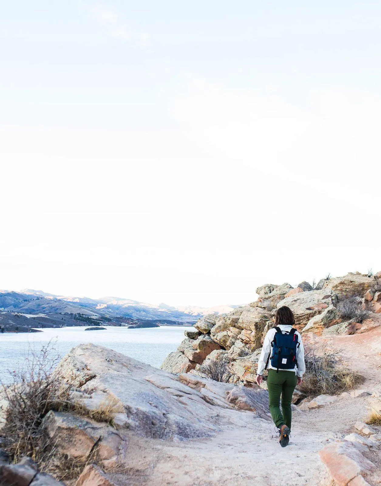 Topo Designs Rover Pack Forest